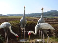 2011秋　温泉旅行③出水武家屋敷とつる