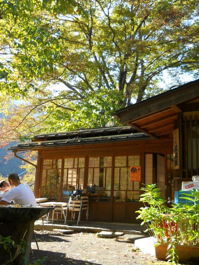 　『　身延山・久遠寺　（みのぶさん・くおんじ）　』・・・と云う、　言葉。　そして、場所・・・。<br />　ず〜〜っと、気になって・・・いて、　<br />　「いつか、もう一度・・・だけ、　訪ねてみたい。」と、思って・・・いた。<br />　　<br />　「どうして・・・そんな風〜！に、　思うのか　？」と、　聞かれれば・・・、<br />　私が、　若かった・・・独身時代　（カレコレ　３０年前・・・の）　お話。に、　やっぱり、さかのぼって・・・しまう。ンだけれど（笑）<br /><br />　当時・・・の、　恋人！　彼　（旦那様・・・では　ないっ！）　と、 <br />　１２月の　寒〜い！　日、　<br />　遠く・・・東京から、　車を　ブッ飛ばし、　到着した・・・のが、<br />　ナゼ！？？？か、　<br />　夜・・・の　「久遠寺の、　高く！そそり立つ・・・２８７段！の　階段」　前・・・。　（笑） <br />　若い！カップル・・・は、　「何気・・・な〜〜く、やって来た」　は、<br />　いい〜！ンだけど、　深い！信仰心・・・も　無く、<br />　そんな　大階段！に・・・びびり、　階段を　上らず・・・して、　<br />　「無事！　東京に、帰還・・・した」と　云う、<br />　『　青春！の　思い出・・・の　場所　』。　なんデス。。。<br />　<br />　だから、　ず〜〜っと　私・・・。<br />　「いつか、（気になる・・・）　身延山・久遠寺！の　地。を　旅！したい」と　願って・・・いた。（♪）<br />ーーーーーーーーーーーーーーー<br />　そして、　年月は　流れ・・・、いやぁ〜、 流れ過ぎ・・・ちゃって、<br />　やっとこさ・・・来られました。　<br />　　　　　「身延山・久遠寺」・・・。<br /><br />　日蓮宗の　総本山　「身延山・久遠寺」　は、<br />　枝垂桜が、自慢！の　境内・・・に、　荘厳！でいて、　風格！を　感じさせる　伽藍が、ズラリ・・・と、並び、　<br />　神聖！な　空気・・・が　流れている。<br />　そんな、立派！な　伽藍・・・の　建物・同士！は、　裸足で歩く！　渡り廊下・・・で　繋がり、　「（無料で）　拝見すること！が　出来る」。<br />　どの　お堂！も、見応え！たっぷり・・・の　「お寺！　拝見」。　<br />　いやぁ〜、　素晴らしかったデス。　<br />　<br />　そして、　ロープ・ウェイで、　しばし・・・、南アルプス！を　空中散歩。　「身延山　山頂　＆　奥の院」　にも、行ってみよう。<br />　「霊峰！七面山」　の　姿！を　確認！したら、<br />ーーーーーーーーーーーーーーー<br />　本日の　ドライブ・コース、もうひとつ・・・の　目的地！　<br />　山梨県・早川町　『　赤沢宿　（あかさわじゅく）　』　へ・・・と、　参りましょう。<br /><br />　南アルプスの　霊峰！身延山　と、七面山・・・の、　ふたつの　お山！を　「山岳信仰・・・目的！　＝＝＝　これを　「身延往還暦」　と呼ぶ」に、旅をした、　大昔・・・の　人々。<br />　そんな・・・登詣・旅！は、　『　講中　』　と　呼ばれて、　<br />　江戸中期から、昭和初期・・・に　かけて、<br />　大人気！の　団体ツアー・・・だった。のだそう〜。<br /><br />　その　「旅の　途中！・・・の　中継・宿泊地」　として、　<br />　山奥！の、　急斜面に、へばりつく・・・様に、　たくさんの、　旅館　（旅籠）『　講中宿　』　が、作られ、　<br />　今も、「往時・・・のまま！の　姿」が、残されているのだ。<br /><br />　１９９３年には、　山梨県では、唯一！　<br />　国・・・の　『　重要伝統的建築物群　保存地区　』　に、指定されている。<br />　現在は、「江戸屋　旅館」さん、　一軒・・・のみ、が、営業中。<br /><br /><br />　「もう〜、　誰・・・も　泊まること！は　ない、　閉め切られた・・・旅館群」。　<br />　急な・・・坂道！を　上り下り・・・しながら、　　<br />　時・・・が　止まった！　『　講中宿　』＝＝＝「赤沢宿」を、　歩いてみよう。