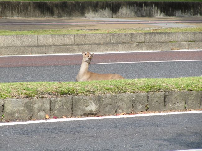 とあるきっかけで、都市対抗野球の観戦に行くことになりました。<br />最初は日帰りで行こうかと思いましたが、せっかくなので前泊し一日かけて無駄に大回りを計画。<br />乗継プラン通りに行けたでしょうか。 