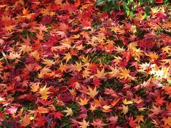 京都を歩く(99) 紅葉の記憶 2010