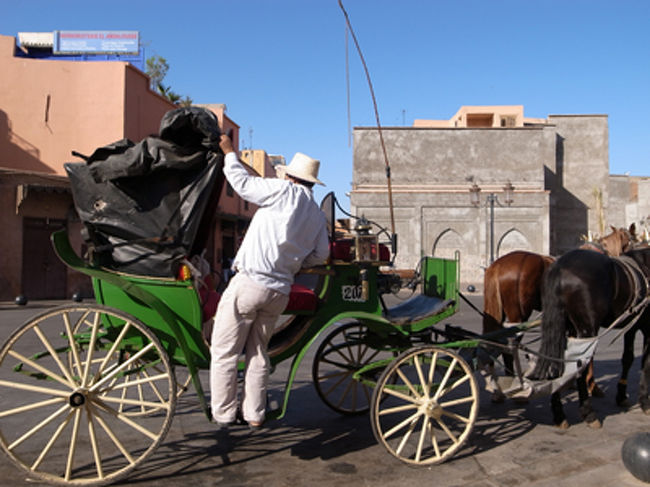 マラケシュ名物の馬車に乗って、マラケシュ市内にある名所を回ってきました。マラケシュと言えばまずはジャマ・エル・フナ広場のような混沌としたところが魅力ですが、12世紀以降のイスラム建築で、あんな立派なものができているなんて、まったくわかっていませんでした。北アフリカのイスラム王朝、侮るべからず、です。