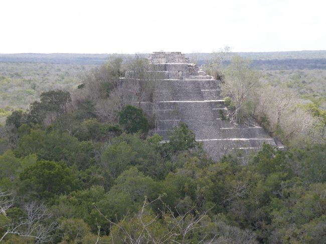 2011.GW　メキシコで遺跡三昧♪　④（カラクムル)