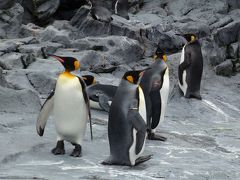 新千歳空港→旭川、旭山動物園編（1）北海道で女子旅4泊5日～♪