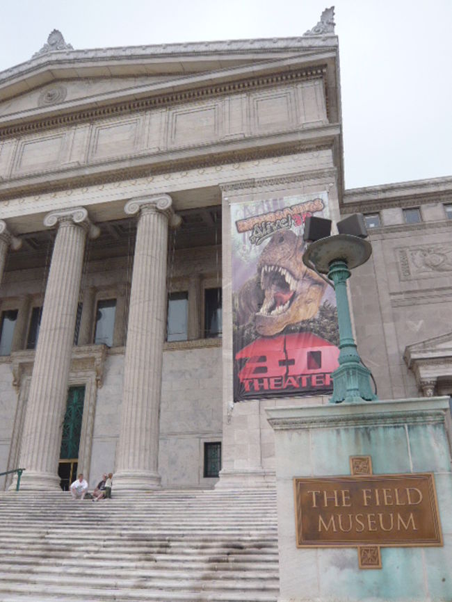 ｼｶｺﾞ&ｿｳﾙ2人旅⑦The Field Museum