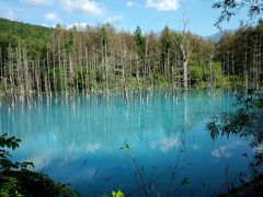 北海道旅行～富良野・美瑛～