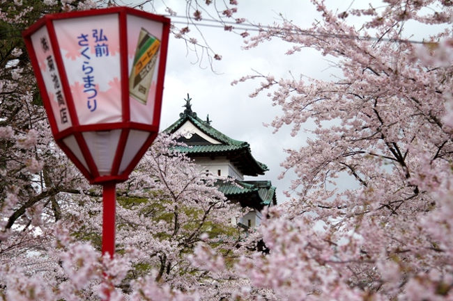 震災後のGWに少しでも復興に貢献できればと思い消費活動をしました。<br />1日目 空路にて羽田~函館<br />2日目 鉄道にて函館~青森<br />3日目 鉄道にて青森~秋田<br />4日目 鉄道にて秋田~群馬