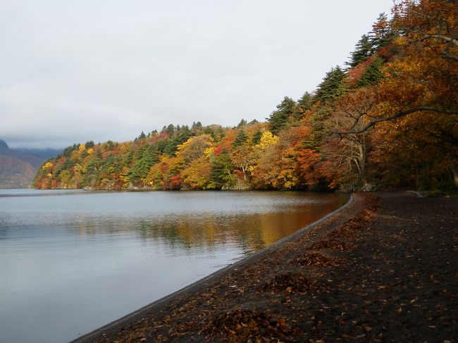 以前からずっと紅葉の時期に行きたかった白神山地と十和田湖・奥入瀬に2011年行きました。<br /><br />旅行3日目の最終日。朝は晴れ間が出てきました。散歩の中、湖畔沿いの紅葉は美しかったです。<br /><br />