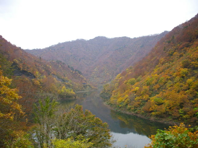 紅葉を見に行きたい。と思っていた日々。<br />どこに見に行くかは、当日の天気と運転手くんの元気＆気分、そしてわたしの提案しだい。<br />どうしても奥胎内に行ってみたかったわたしは、ひとり作戦を練る日々。<br />誘導尋問のような？半ば強制的のような？感じで作戦成功し、本日は、奥胎内に行ってきました～<br /><br />でもね、想像以上の紅葉で、ホント感動した。<br />なんで立派なカメラを持っていないんだろ？<br />なんでカメラの腕が、こんなんなんだろ？<br />と、悔しさばかり。<br /><br />なので、自分の目に景色を焼き付けてきました。<br />写真は、あんまりなモノばかりだったので。<br /><br />紅葉のお気に入りスポットを見つけた日でした。