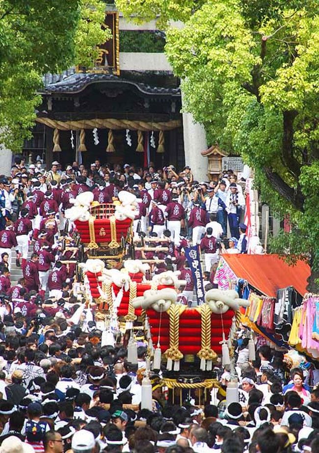 大阪は堺市の百舌鳥（もず）とよばれる地域の9つの町の氏神として昔も今も町民の信仰を集めている百舌鳥八幡宮。創建は聖徳太子の祖父である欽明天皇の時代と言いますから1400年以上も昔。<br /><br />ここで毎年旧暦の8月15日（現行暦では9月12日）に催されるお祭りは、作物の豊作と満月を祝うお祭りが癒合して「月見祭り」とよばれるようになり、古くより堺・泉州地域の人々に親しまれてきました。300年以上の歴史を誇り毎年10万人以上の観客で賑います。近年では担ぎ手がより集まりやすいなどの理由で旧暦の8月15日に最も近い土日に開催されるようです。<br /><br />ここ最近、毎年出かけている月見祭りですが、今年も快晴の天気に恵まれた中、早速足を運んでみました。