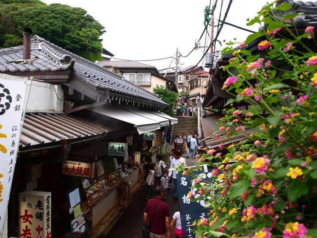 鎌倉1日目後編：梅雨の鎌倉散歩後編/銭洗弁財天宇賀福神社・高徳院・長谷寺<br />http://4travel.jp/traveler/musicphotoseasky/album/10624328/<br /><br /><br />２日目は江の島観光を楽しみました<br /><br />江の島は今まで行く機会がなく、初めてだったので楽しみでした<br />実際行くと、自然と人工物が程よくミックスされた印象を受けました<br /><br />そしてねこがとても多いので、ねこ好きにはオススメです^^<br /><br /><br />江島神社<br />↓<br />藤沢市江の島サムエル・コッキング苑<br />↓<br />江の島灯台<br />↓<br />龍野ヶ丘自然の森<br />