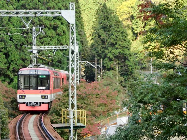 11月に入りました!<br />初日の今日、とってもいいお天気です!<br /><br />さわやかな“お出かけ日和”です(#^.^#)<br />これは どこかに行かなきゃ(*^。^*)<br /><br />自宅から2時間以内で行けるところは…どこ???<br /><br />そうだ!<br />【きらら】に乗ろう!!!!<br /><br />紅葉で京都がパニック渋滞になる前に、、、<br />『のんびり楽しめるのは今しかない!!!!!』<br /><br />赤く染まる前に、人で ごちゃごちゃになる前に(^_-)-☆<br /><br /><br /> シッポの日帰り電車旅 はじまり!はじまり〜<br /><br /><br /><br /><br /><br />