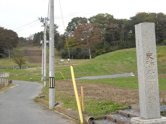 1世紀末ころに武内宿禰が「東のひなに日高見国あり。土地肥えてひろし、撃ちて取るべし」と景行天皇に奏言して、ヤマトタケルにはじまるヤマトの東国侵攻が始まった。ヤマト朝廷による近畿地方の統一国家は350年ころに完成されたが、東北地方の北半部は平泉の藤原氏が源頼朝に滅ぼされるまでは近畿王権(ヤマト)の支配のおよばない国であった。とくに、774年にはヤマト北進に抗して海道エミシが蜂起して攻勢に転じ、780年には伊治公呰麻呂が雄勝城をうばい、多賀城を焼き払った。その後もアテルイとモレは789年の巣伏の戦いで、寡兵でもって5万人のヤマトの大軍を破っている。これらの時代のヤマト東北侵攻の拠点、多賀城を訪ねるには東北本線の「国府多賀城駅」が出発点であるが、数十年前の下宿の近くと思い込んで仙石線の「多賀城駅」に降りて、タクシー利用の羽目に陥った。東北本線の国府多賀城駅から歩きはじめると、駅前の館前遺跡をとおり、10数分で芭蕉も訪れた日本三古碑のひとつ「多賀城の碑」がある。ここから北を見ると表紙写真のように幅広い石段がみえ、その上に政庁跡があり、さらにその東北に接して作貫地区役所跡や、掘立柱建築の大畑地区役所跡があり、これらを囲んで方約1kmの土塁がある。東門跡近くには巾数メートルの古代の直線道路がある。(コースを逆にとり標高の高い陸奥総社宮や荒脛巾神社から歩くと下りばかりで楽だが、道標はなく、案内所でもらったマンガ風の散策マップは不正確で迷いやすい。)土塁の外側の東北部、鬼門には豪壮な陸奥総社宮があり、エミシが信仰していた別項旅行記の荒脛巾神社もこのちかくで、エミシの神でエミシを抑えるということらしい。この陸奥総宮は東北地方の全ての延喜式内社を統べるそうで、式内社100社の名が入り口階段の両側に列記されていて、陸奥総宮の祭神はこれら100社の祭神全部だそうである。式内社の100社のなかで興味深いのは宮城県桃生郡桃生町大田の「日高見神社」である。日高見神社がある桃生町(現石巻市)あたりの北上川下流部の穀倉地帯が、日高見国の中心だったのかもしれない。武内宿禰は100年ころに東北地方を偵察して「東のひなに日高見国あり、其のくにの人勇みてこわし。えみしという。土地肥えてひろし、撃ちて取るべし」と景行天皇に奏言している(書紀)。景行天皇の皇子・ヤマトタケルにはじまるヤマトの東征はこうして始まったが、平泉の藤原氏が源頼朝に滅ぼされるまでは、東北地方の北半部は日本の支配のおよばない国であった。このヤマトの東北地方進出の歴史をみると、仁徳天皇が367年頃に田道将軍を、637年には舒明天皇が上毛野君片名軍をそれぞれ派遣したが、いずれもエミシに大敗している。その後、724年に大野東人が多賀城を築き、続いて牡鹿柵(737年)、桃生城(759年)伊治城(761年)など北進の基地が築かれたが、774年に海道エミシが蜂起(38年戦争)して以後、エミシが攻勢に転じ、780年にはエミシの伊治公呰麻呂が雄勝城をうばい(宝亀の乱)、多賀城を焼き払った。というのが大雑把な歴史である。このあと、少人数で5万の大軍を破ったアテルイの活躍がある。別項「奥州市水沢、アテルイ・・・・・・」旅行記。なお、この多賀城の鎮守府と国府は8世紀はじめから10世紀半ばまで存続したが、その間780年にはエミシの伊治公呰麻呂に焼き亡ぼされ、869年には貞観地震で被害を受けている。多賀城跡で話しかけてくるボランティアガイドは、このような攻防の歴史をヤマトの立場から「エミシの反乱」と説明していたのは不愉快だった。先住民のエミシが侵略者の圧制に抵抗したという栄光の歴史を、体制内の住民の“反乱”と扱っては東北人の先祖に申し訳なかろう。