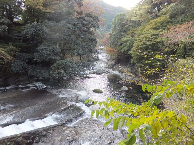 有給をとって2泊3日の一人旅。<br /><br />東京から修善寺へ<br />修禅寺温泉へ立ち寄り、湯ヶ島温泉の落合楼村上に宿泊。<br /><br />http://www.ochiairou.com/<br /><br />川のせせらぎを聞きながらまったり一人を楽しんだ。