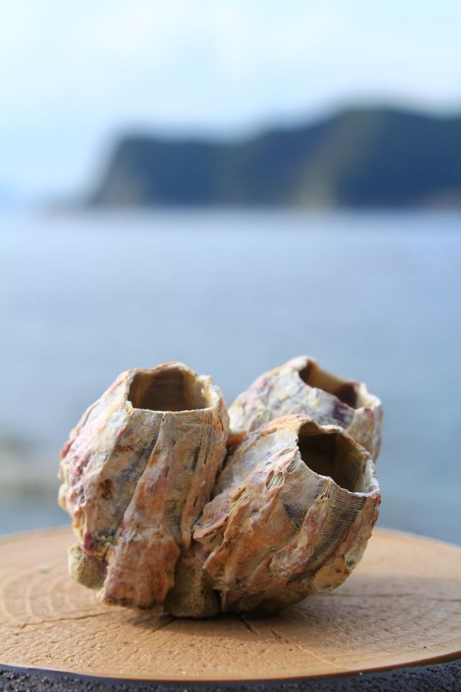 養老渓谷/御宿/勝浦/天津小湊/安房鴨川/大原/大多喜/和田/丸山千葉県外房エリアをぐるりと巡る旅。<br />勝浦市はビーチブレイク・リーフブレイクと波のバラエティに恵まれたサーフタウンでもあり日本を代表するビッグウェーブスポットでサーファー達のが季節を問わず海でサーフィンをしている姿を目にする観光都市。御宿町は海岸には砂浜が広がり海水浴場も多く房総を代表する海の町で、三重県の志摩地方、舳倉島とならび日本の三大海女地帯のひとつとしてあげられ、加藤まさをが、大正12年に発表した「月の沙漠」は、御宿海岸がその舞台となり発祥の地としても知られています。天津小湊は釣りのメッカであることや大型温泉旅館などが建ち並びマダイが群泳されることで鯛の生息地として国の特別天然記念物に指定されている「鯛の浦」が有名で鯛の浦周辺の遊覧船やのんびり海を眺めながら遊歩道を歩くのも楽しめます。<br />安房鴨川は日本の水族館で唯一！海の王者「シャチ」を見られる加茂川シーワールド、そして日本の棚田100選の大山千枚田、日本100景100選の仁右衛門島など海と山の名所があります。大多喜町から市原市に流れる養老川によって形成された渓谷で春はツツジ、夏は渓流沿いでの水遊び、秋は紅葉と四季折々の顔を見せてくれる観光名所です。特に秋の紅葉は有名で千葉県の紅葉の名所で渓流沿いは整備された遊歩道があり、紅葉時期に限らずハイキングコースとして利用される方も多く、渓流で釣りを楽しむ人もたくさんいます。養老渓谷/勝浦/安房鴨川ぐるり旅は外房エリアの見所をぐるりと巡ってみました。<br /><br />□■□■□■□■□■□■□■□■□■□■□■□■□■□■□■<br /><br />2011年秋は天津小湊＆安房鴨川の千葉県外房周辺へ！<br />今回の目的地のメインは春に行った「大山千枚田」で10/28～10/30、11/3～11/6「棚田の夜祭り」という期間限定イベント。夜の暗闇の中、月の光と3,000本の松明でライトアップされた幻想的な空間の夜の棚田を見に行きました。イベント会場までは送迎バスが近隣の無料駐車場から出ていて、地方のイベントでしたが、そこは日本の棚田100選に選ばれた「大山千枚田」無料駐車場に夕方に到着しましたが、既に満車状態、送迎バスに乗るのも長蛇の列ができていました。<br />安房鴨川周辺の観光地も巡ろうと思い向かったのが天津小湊町。かつては千葉県安房郡に属していましたが、2005年2月11日に鴨川市と市町村合併で鴨川市に属す漁業が盛んな町です。釣りのメッカであることや大型温泉旅館などが建ち並ぶ観光地としても知られていますね。<br />天津小湊といえば真鯛が群泳されることで鯛の生息地として国の特別天然記念物に指定されている「鯛の浦」が有名です。鯛の浦周辺の遊覧船やのんびり海を眺めながら遊歩道を歩くのも楽しめました。一方、鯛の浦遊覧船の乗船場の目の前にある「誕生寺」は日蓮宗の大本山で日蓮の誕生を記念して出身地である天津小湊に建立されたお寺です。天津小湊町誕生寺の線香と磯風は環境省が選定した日本各地の自然や生活、文化に根ざした香りのある地域、「かおり風景100選」にも選ばれた名所でもありますね。<br />今回の旅は天津小湊の海岸と安房鴨川の山間部の双方をぐるりと巡ってみました。<br /><br />□■□■□■□■□■□■□■□■□■□■□■□■□■□■□■<br /><br />メインイベントの「大山千枚田　棚田の夜祭り」までの時間があるため、初の旧天津小湊町へ。<br />誕生寺の仁王門から道路を挟んですぐの場所にある「鯛の浦遊覧船」乗場。その昔、日蓮聖人が父祖の供養のため帰郷した際、海に向かって何無妙法蓮華経を唱えると、波の上にその字が浮かび上がり、同時に多数の鯛が集まり、その字を食べ尽くしてしまった奇跡を目の当たりにした村人達は、以来鯛を聖人の生き姿と考え信仰し殺生禁断の聖地として餌を供して鯛達を守り続けてきたという言い伝えがあります。現在も真鯛が群泳していることで知られ、比較的深い層を回遊する魚である真鯛が水深の浅い海域に根付くことはないが、ここは不思議と鯛が生息していることから国の特別天然記念物に指定されている。「鯛の浦遊覧船」は大人950円で鯛の浦周辺をぐるりと回る不定期遊覧船で信仰心の厚い船頭さんが船の安全を祈願し案内してくれます。昭和39年には皇太子ご一家も観光に訪れたことがあるそうで、天津小湊町随一の観光名所と言えます。<br />船が苦手という方も、船乗り場から歩いて海岸線へ向かっていくと「鯛の浦遊歩道」という海岸沿いを海を眺めながら進める遊歩道があります。禁漁区域ですが、ウェットスーツを着た明らかに密漁目的の人達を目撃してしました。特別天然記念物に指定され、自然を保護していかなければならない場所を平気で壊してしまう人達がいることが非常に残念でした…<br /><br />□■□■□■□■□■□■□■□■□■□■□■□■□■□■□■<br /><br /><鯛の浦遊覧船＞<br />〒299-5501<br />千葉県鴨川市小湊183-8<br />TEL 04-7095-2318<br />http://www.tainoura.jp/<br /><br />□■□■□■□■□■□■□■□■□■□■□■□■□■□■□■<br /><br />＜養老渓谷/勝浦/安房鴨川ぐるり旅＞<br />【1】大多喜城(花見)<br />http://4travel.jp/traveler/dekadora/album/10557909/<br />【2】房総の小江戸<br />http://4travel.jp/traveler/dekadora/album/10557910/<br />【3】鴨川シーワールド<br />http://4travel.jp/traveler/dekadora/album/10562882/<br />【4】鴨川シーワールド<br />http://4travel.jp/traveler/dekadora/album/10564097/<br />【5】鴨川シーワールド<br />http://4travel.jp/traveler/dekadora/album/10564110/<br />【6】鴨川シーワールド<br />http://4travel.jp/traveler/dekadora/album/10564108/<br />【7】鴨川シーワールド<br />http://4travel.jp/traveler/dekadora/album/10564151/<br />【8】鴨川シーワールド<br />http://4travel.jp/traveler/dekadora/album/10564127/<br />【9】仁右衛門島<br />http://4travel.jp/traveler/dekadora/album/10562883/<br />【10】仁右衛門島<br />http://4travel.jp/traveler/dekadora/album/10564169/<br />【11】大山千枚田「春」<br />http://4travel.jp/traveler/dekadora/album/10562884/<br />【12】モリアオガエルの生息地　清澄寺<br />http://4travel.jp/traveler/dekadora/album/10562888/<br />【13】レストランキッズ<br />http://4travel.jp/traveler/dekadora/album/10564203/<br />【14】日本のかおり風景100選　誕生寺<br />http://4travel.jp/traveler/dekadora/album/10618973/<br />【15】特別天然記念物　鯛の浦遊覧船＆遊歩道<br />http://4travel.jp/traveler/dekadora/album/10618979/<br />【16】イングリッシュガーデン　らん花園<br />http://4travel.jp/traveler/dekadora/album/10618991/<br />【17】大山千枚田（棚田の夜祭り2011）<br />http://4travel.jp/traveler/dekadora/album/10618992/<br />【18】小沢又の滝(幻の滝)(紅葉)<br />http://4travel.jp/traveler/dekadora/album/10626458/<br />【19】粟又の滝＆遊歩道(紅葉)<br />http://4travel.jp/traveler/dekadora/album/10626468/<br />【20】おんじゅくまちかど「つるし雛めぐり」<br />http://4travel.jp/traveler/dekadora/album/10649776/ <br />【21】かつうらビックひな祭り<br />http://4travel.jp/traveler/dekadora/album/10649954 <br />【22】花野辺の里(水仙/菜の花)<br />http://4travel.jp/traveler/dekadora/album/10662308/ <br />【23】粟又の滝＆遊歩道(新緑）<br />http://4travel.jp/traveler/dekadora/album/10679598/<br />【24】弘文洞跡＆中瀬遊歩道＆出世観音(新緑)<br />http://4travel.jp/traveler/dekadora/album/10679975/ <br />【25】シーフェスタ in Kamogawa2012 <br />http://4travel.jp/traveler/dekadora/album/10680476/<br />【26】大山千枚田「初夏」<br />http://4travel.jp/traveler/dekadora/album/10681220/ 