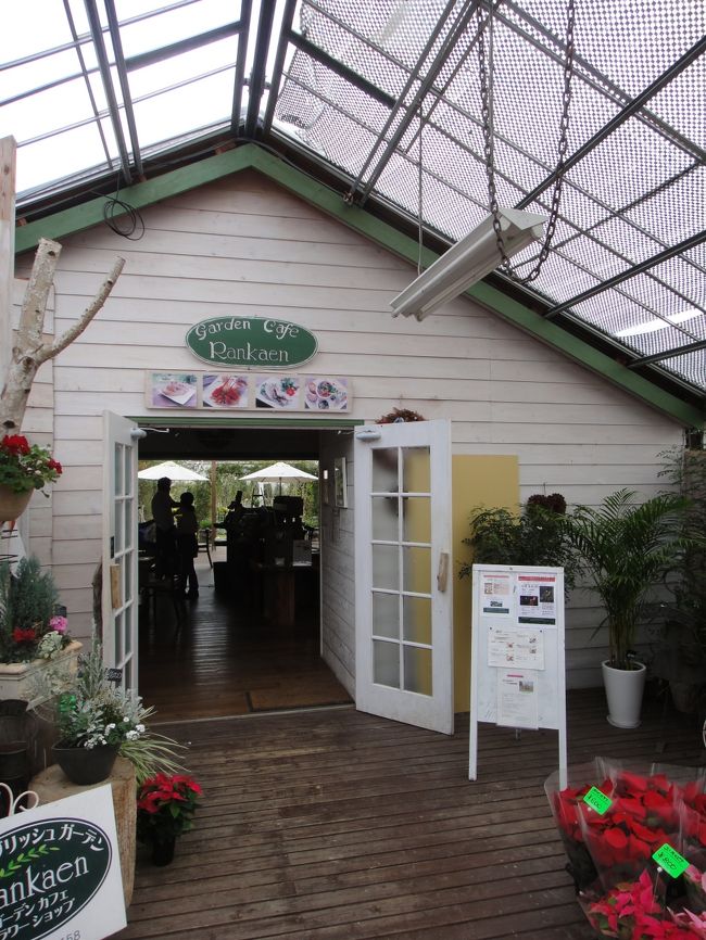 養老渓谷/御宿/勝浦/天津小湊/安房鴨川/大原/大多喜/和田/丸山千葉県外房エリアをぐるりと巡る旅。<br />勝浦市はビーチブレイク・リーフブレイクと波のバラエティに恵まれたサーフタウンでもあり日本を代表するビッグウェーブスポットでサーファー達のが季節を問わず海でサーフィンをしている姿を目にする観光都市。御宿町は海岸には砂浜が広がり海水浴場も多く房総を代表する海の町で、三重県の志摩地方、舳倉島とならび日本の三大海女地帯のひとつとしてあげられ、加藤まさをが、大正12年に発表した「月の沙漠」は、御宿海岸がその舞台となり発祥の地としても知られています。天津小湊は釣りのメッカであることや大型温泉旅館などが建ち並びマダイが群泳されることで鯛の生息地として国の特別天然記念物に指定されている「鯛の浦」が有名で鯛の浦周辺の遊覧船やのんびり海を眺めながら遊歩道を歩くのも楽しめます。<br />安房鴨川は日本の水族館で唯一！海の王者「シャチ」を見られる加茂川シーワールド、そして日本の棚田100選の大山千枚田、日本100景100選の仁右衛門島など海と山の名所があります。大多喜町から市原市に流れる養老川によって形成された渓谷で春はツツジ、夏は渓流沿いでの水遊び、秋は紅葉と四季折々の顔を見せてくれる観光名所です。特に秋の紅葉は有名で千葉県の紅葉の名所で渓流沿いは整備された遊歩道があり、紅葉時期に限らずハイキングコースとして利用される方も多く、渓流で釣りを楽しむ人もたくさんいます。養老渓谷/勝浦/安房鴨川ぐるり旅は外房エリアの見所をぐるりと巡ってみました。<br /><br />□■□■□■□■□■□■□■□■□■□■□■□■□■□■□■<br /><br />2011年秋は天津小湊＆安房鴨川の千葉県外房周辺へ！<br />今回の目的地のメインは春に行った「大山千枚田」で10/28～10/30、11/3～11/6「棚田の夜祭り」という期間限定イベント。夜の暗闇の中、月の光と3,000本の松明でライトアップされた幻想的な空間の夜の棚田を見に行きました。イベント会場までは送迎バスが近隣の無料駐車場から出ていて、地方のイベントでしたが、そこは日本の棚田100選に選ばれた「大山千枚田」無料駐車場に夕方に到着しましたが、既に満車状態、送迎バスに乗るのも長蛇の列ができていました。<br />安房鴨川周辺の観光地も巡ろうと思い向かったのが天津小湊町。かつては千葉県安房郡に属していましたが、2005年2月11日に鴨川市と市町村合併で鴨川市に属す漁業が盛んな町です。釣りのメッカであることや大型温泉旅館などが建ち並ぶ観光地としても知られていますね。<br />天津小湊といえば真鯛が群泳されることで鯛の生息地として国の特別天然記念物に指定されている「鯛の浦」が有名です。鯛の浦周辺の遊覧船やのんびり海を眺めながら遊歩道を歩くのも楽しめました。一方、鯛の浦遊覧船の乗船場の目の前にある「誕生寺」は日蓮宗の大本山で日蓮の誕生を記念して出身地である天津小湊に建立されたお寺です。天津小湊町誕生寺の線香と磯風は環境省が選定した日本各地の自然や生活、文化に根ざした香りのある地域、「かおり風景100選」にも選ばれた名所でもありますね。<br />今回の旅は天津小湊の海岸と安房鴨川の山間部の双方をぐるりと巡ってみました。<br /><br />□■□■□■□■□■□■□■□■□■□■□■□■□■□■□■<br /><br />メインイベントの「大山千枚田」の「棚田の夜祭り」まで天津小湊観光巡りをした後、この日のランチは安房鴨川にある「イングリッシュガーデン　らん花園」でランチとしました。<br />ネットで調べて景色のよいお店と思い、この店をセレクトしましたが実際利用した中で体験した対応は非常に残念でした。<br />お昼過ぎに利用したためかほとんどお客さんはいませんでした。店内に入っても全く案内してもらえず、案内されるまで少し待っていましたが、仕方なく空いている席に座ることにしました。お客さんはあまりいなかったのでそれ程忙しい様には見えませんでしたが、こんなものかなぁとも思いながら…。<br />メニューからパスタを2種類選びましたが、材料がないためパスタは１つしか注文できないと言われ、仕方なくカレーを選びました。嫌いな物ががあるためそれは取り除いて欲しいと思い、そこは快く快諾いただき一安心していました。イングリッシュガーデンという店名なのでお庭で咲く花を撮りながら待っていました。パスタとカレーが出てきた時に唖然としたのが、嫌いな物を取り除くよう注文したにもかかわらず、カレーのど真ん中には頼んだものが思いっきり乗っていました。「あれ？さっき乗せないでほしい」と頼んだのになぁ…と思いながら、そっと取り除いて仕方なく食べることしました。<br />その後、他のお客さんが来店されて、注文を取っていましたが、何故かパスタを頼んでました。「あれ！？、材料がないからパスタは作れない」と言われ仕方なく注文を変えた私達は正直耳を疑いました。その後、見ていると確かにパスタが運ばれてきているじゃないですか！？それを見ていたら店員が「先程、材料が宅急便で届きまして…」と言い訳をする始末…。怒りと憤りを感じざる得ない一連の対応に気分を悪くした私達はすぐにお店を出ようとしました。そうしたところ、店員が「懲りずにまた来て下さいね！」と…。<br />らん花園さん…、もうニ度と来ることはないと思いますよ、このような接客態度と虚偽の話をされてはね…。<br />この旅行記とクチコミを見て、他の方が私達と同じ気持ちにならないことを祈り作成しました。参考としていただければ幸いですね。<br /><br />□■□■□■□■□■□■□■□■□■□■□■□■□■□■□■<br /><br /><鴨川　イングリッシュガーデン　らん花園＞<br />〒296-0044 <br />鴨川市広場1238<br />TEL04-7093-0158<br />http://park2.wakwak.com/~rankaen/page_photo.html<br /><br />□■□■□■□■□■□■□■□■□■□■□■□■□■□■□■<br /><br />＜養老渓谷/勝浦/安房鴨川ぐるり旅＞<br />【1】大多喜城(花見)<br />http://4travel.jp/traveler/dekadora/album/10557909/<br />【2】房総の小江戸<br />http://4travel.jp/traveler/dekadora/album/10557910/<br />【3】鴨川シーワールド<br />http://4travel.jp/traveler/dekadora/album/10562882/<br />【4】鴨川シーワールド<br />http://4travel.jp/traveler/dekadora/album/10564097/<br />【5】鴨川シーワールド<br />http://4travel.jp/traveler/dekadora/album/10564110/<br />【6】鴨川シーワールド<br />http://4travel.jp/traveler/dekadora/album/10564108/<br />【7】鴨川シーワールド<br />http://4travel.jp/traveler/dekadora/album/10564151/<br />【8】鴨川シーワールド<br />http://4travel.jp/traveler/dekadora/album/10564127/<br />【9】仁右衛門島<br />http://4travel.jp/traveler/dekadora/album/10562883/<br />【10】仁右衛門島<br />http://4travel.jp/traveler/dekadora/album/10564169/<br />【11】大山千枚田「春」<br />http://4travel.jp/traveler/dekadora/album/10562884/<br />【12】モリアオガエルの生息地　清澄寺<br />http://4travel.jp/traveler/dekadora/album/10562888/<br />【13】レストランキッズ<br />http://4travel.jp/traveler/dekadora/album/10564203/<br />【14】日本のかおり風景100選　誕生寺<br />http://4travel.jp/traveler/dekadora/album/10618973/<br />【15】特別天然記念物　鯛の浦遊覧船＆遊歩道<br />http://4travel.jp/traveler/dekadora/album/10618979/<br />【16】イングリッシュガーデン　らん花園<br />http://4travel.jp/traveler/dekadora/album/10618991/<br />【17】大山千枚田（棚田の夜祭り2011）<br />http://4travel.jp/traveler/dekadora/album/10618992/<br />【18】小沢又の滝(幻の滝)(紅葉)<br />http://4travel.jp/traveler/dekadora/album/10626458/<br />【19】粟又の滝＆遊歩道(紅葉)<br />http://4travel.jp/traveler/dekadora/album/10626468/<br />【20】おんじゅくまちかど「つるし雛めぐり」<br />http://4travel.jp/traveler/dekadora/album/10649776/ <br />【21】かつうらビックひな祭り<br />http://4travel.jp/traveler/dekadora/album/10649954 <br />【22】花野辺の里(水仙/菜の花)<br />http://4travel.jp/traveler/dekadora/album/10662308/ <br />【23】粟又の滝＆遊歩道(新緑）<br />http://4travel.jp/traveler/dekadora/album/10679598/<br />【24】弘文洞跡＆中瀬遊歩道＆出世観音(新緑)<br />http://4travel.jp/traveler/dekadora/album/10679975/ <br />【25】シーフェスタ in Kamogawa2012 <br />http://4travel.jp/traveler/dekadora/album/10680476/<br />【26】大山千枚田「初夏」<br />http://4travel.jp/traveler/dekadora/album/10681220/ 