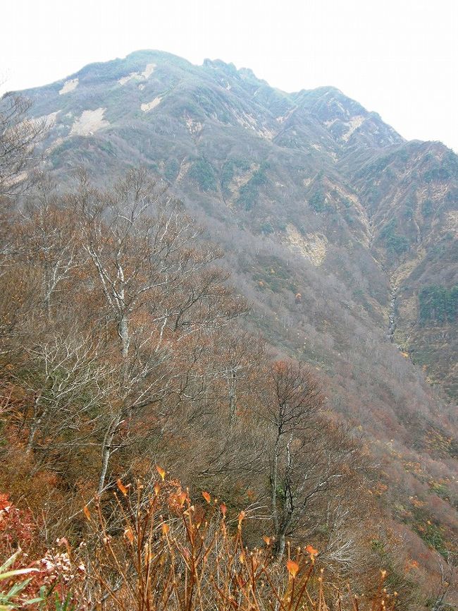 紅葉の八海山を歩きたいと企画して・・<br />アクセスの関係からツアー「奥只見湖遊覧と八海山・越後海道」の日帰りコースを選び行ってきました。<br /><br />２回に分けて旅行記作成します。<br />①紅葉の空中散歩と八海山<br />②秘境・奥只見湖遊覧