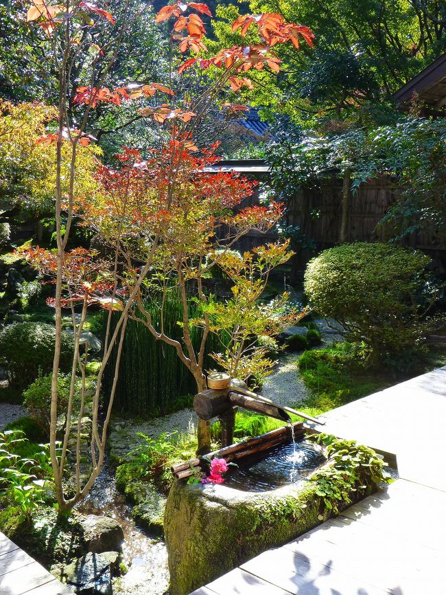 【作成中】2011年11月　晩秋の京都　ちょっぴり紅葉狩り旅行