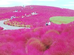 なんど行っても見どころ一杯福島県＆東北の旅（紅葉編）