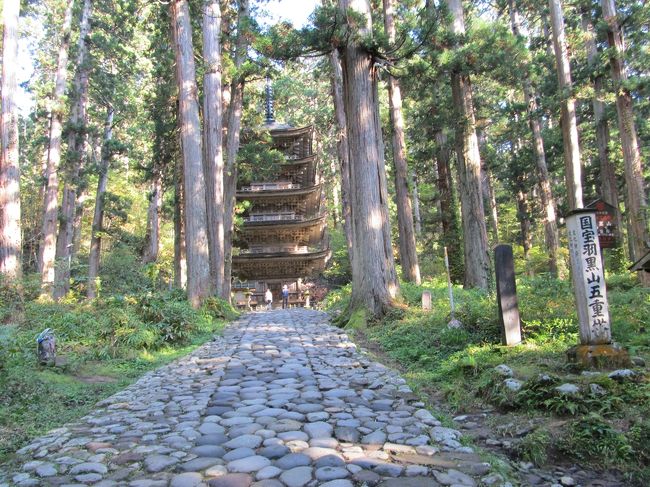 山形県に紅葉を見にローカルフレンドと車で２泊３日で行ってきました。初日は４：００埼玉県伊奈町出発で出羽三山へ向かいました。山形自動車道から見た月山は、もう雪の冠がかぶっていました。最初に湯殿山に参拝に行きました。湯殿山は標高1,500mで月山に連なり、伊勢・熊野と並ぶ三大霊場のひとつです。その北側中腹、梵字川の侵食によってできた峡谷中には、五穀豊穣・家内安全の守り神として崇敬される湯殿山神社があります。出羽三山の奥の院とも呼ばれ、月山・羽黒山で修行をした行者がここで仏の境地に至るとされています。<br />昼食は鶴岡市三瀬地内の日本海にある琴 平 荘　夏は 民宿旅館。だから冬期間のみしか 営業しないんです、らーめん。しかし なかなか 行く機会が ないから、思い切って行ってきました。テレビなどの放映なので結構有名な店です。月山をわざわざ越えて行きました。途中田んぼに白鳥がもう飛来して餌をついばんでいました。中華そばさっぱり味のスープでとっても美味しかったです。御笑覧下さい午後からは羽黒エリアへ、山岳修験の霊場として信仰を集めている出羽三山の表玄関にあり、羽黒山の国宝五重塔をはじめ、重要文化財や史跡・名勝など、歴史的文化財の宝庫として、国際的にも名を知られております。随神門から継子坂を下り祓川神橋を渡り・爺杉・国宝五重塔ここからが心臓破りの石段２４４６段だ。私は８月３日にここに来ているので、フレンドを残して車を上の駐車場に回送した。車を駐車場に止めてから、フレンドの所まで行った。中間地点あたりでふうふう言っていた。何とか三神合祭殿までたどりついた。<br />「三神合祭殿」<br />月山・羽黒山・湯殿山の三神を合祭した日本随一の大社殿。厚さ２．１ｍの茅葺きの屋根。総漆塗の内部など、その全てに迫力があって見応え充分だ。前方の鏡池は、神秘の御池として古来より多くの信仰を集め、羽黒信仰の中心でもあった。平成１２年国の文化財に指定された。<br />今日の泊まりは　休暇村　羽黒　早速お風呂に入り、美味しい料理で一日の疲れを癒やした。宿のフロントに聞くと月山への道は２４日で閉鎖になったとの事だった。（折角スタットレス・タイヤに履き替えたのに）　<br />写真はこちらにＵＰしてあります<br />↓　　↓　　↓　　↓　　↓<br />https://picasaweb.google.com/112921505111118372592/nBhOoB#<br />ＹＡＨＯＯブログもあります！<br />↓　　↓　　↓　　↓　　↓<br />http://4travel.jp/traveler/js1sld/<br /><br />にほんブログ村　ちょっと押してね！<br />　　↓　　↓　　↓　　↓　　↓<br />http://travel.blogmura.com/asiatravel/ 