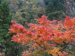 ２０１１・晩秋・川浦渓谷の紅葉＆グルメ♪