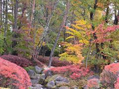 南信州４つの紅葉めぐり　【１】駒ヶ根高原