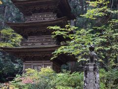 南信州４つの紅葉めぐり　【２】光前寺