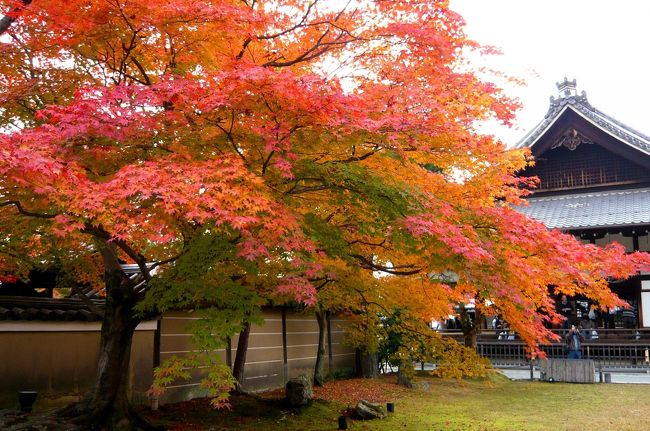 2010年、紅葉を求めて京都に行きました。