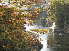 舞茸とニッキ飴とおまけの紅葉　～九頭竜もみじまつり&郡上八幡～