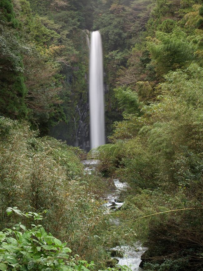 宮崎出張が入りました。日程はやや変則的で、日〜月です。宮崎県北部には未訪の百選滝が３ヶ所あり、いろいろ調査した結果土曜と日曜午前ですべてクリアできることがわかりました。土曜の早い飛行機で宮崎入りし、レンタカーで行縢の滝、真名井の滝に行き、その夜は延岡泊。日曜日の午前中に矢研の滝を制覇し、昼過ぎにレンタカーを返却し、何食わぬ顔で仕事に入るという日程を組みました。<br /><br />高千穂峡に向かっている途中、日之影町に入ってしばらくしたところで、八戸観音滝の案内を見つけました。高千穂峡から宿泊地の延岡に戻る際、時間があれば寄るつもりでした。実際に案内のあったところを通りかかったのは午後4時過ぎでまだまだ陽は高く、楽勝&#9825;だったはずですが…<br /><br />八戸観音滝滝見難易度：１<br />参考　滝見難易度０：道路から見える、１：片道徒歩５分以内、２：片道徒歩１５分以内、３：片道徒歩３０分以内、４：片道徒歩１時間以内、５：片道徒歩２時間以内、６：片道徒歩２時間以上もしくは２時間以内でも特別な装備が必要な場合など。私の旅行記ではほとんど出現することはないと思われる。<br />注意　滝見難易度はあくまで私の主観によるものであり、また季節や天候により難易度が上がる場合もあります。私の旅行記を参考にされて、「違うかったやんけ」とおっしゃられても責任は負えませんのでご了承ください。また、難易度が高い場合はできる限り単独行は避けるようお願いします。