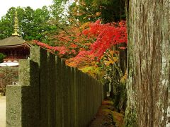 高野山の紅葉