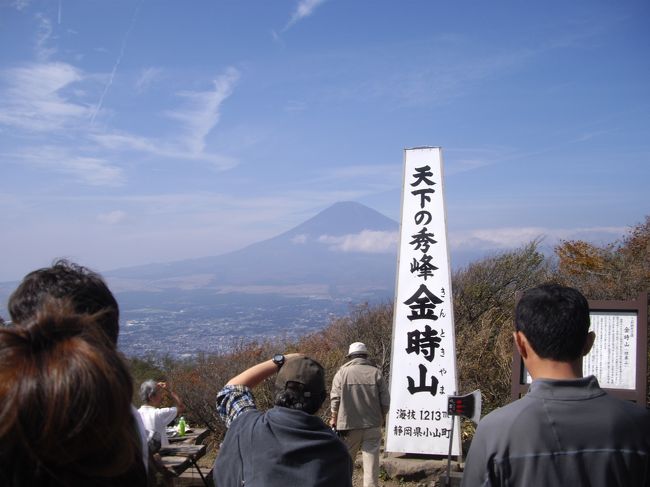 箱根金時山1213mの初登頂しました。富士山が目の前との評判の山ですが、初めて登りました。 <br /><br />先週の大山登山の時のふくらはぎの痛みが、和らいできたのと、暖かなお天気に誘われ、早朝に山登りを決めました。<br /><br />9時05分小田原駅発の桃源台行きバスに乗り仙石下車9時50分から歩き始め、11時半登頂。<br /><br />富士山、芦ノ湖、仙石原、大涌谷、箱根外輪山が一望！頂上付近は紅葉も進み、リンドウの話も至る所に咲いていた。名物の『金時娘』の茶屋には目もふれずにお湯を沸かして、カップラーメン(大山ではコーヒーだけだったのて、今回は早めに購入)を食べる。美味しい。<br /><br />12時半下山開始、長尾山、乙女峠経由で仙石発14時26分のバスで箱根湯本、日帰り温泉に入って、小田原へ。小田原始発17時29分で帰路<br /><br />大山登山に比べると山登りは楽だったが、帰りのバスの便が悪く、既に満員で到着、箱根湯本までの間、立ち続けたが、カーブが多くきつかった。<br /><br />湯本に近くなると渋滞してきたので、湯本の手前で下車、裏通りの日帰り温泉に入る。空いており○でした。ふくらはぎを中心によく揉みました。総じて今回の山登りも○でした。
