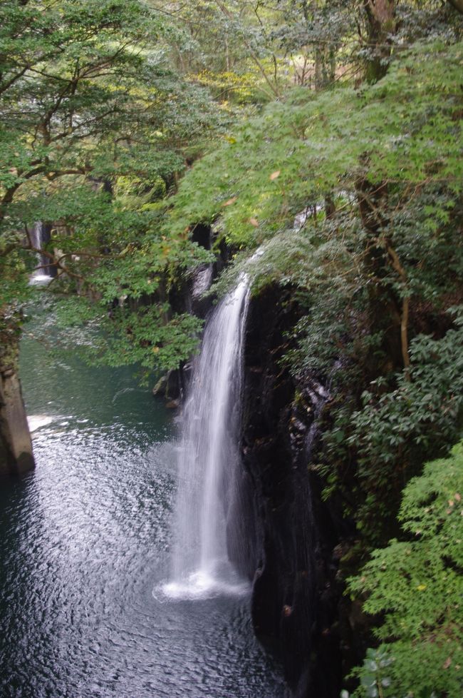 平成23年11月6日から8日までの3日間で、九州の深田百名山、阿蘇山・九重山・祖母山の三山に登ってきました。<br />8日は前日の九重山登山後、高千穂町の旅館今国に宿泊して、宮崎県高千穂町と大分県竹田市にある祖母山に登りました。<br />旅館今国では早朝の6：00より朝食を出してもらい、7：00に出発しました、途中コンビニで昼食を確保して高千穂峡を見物、その後、五ヶ所の北谷登山口まで移動、途中から悪路を走りました。<br />登山は北谷から千間平・国観峠を経由して祖母山（1756.4ｍ）へ下山は行きと同じ道を歩き北谷へ。<br />天候は良く、頂上から阿蘇・九重連山等が良く見えて眺望を楽しみました。<br />今回はキング山旅会の仲間14人参加で行動、熊本空港からレンタカーを利用して各地へ移動で、費用はひとり当たり羽田発着で昼食費を含んで58000円でした。