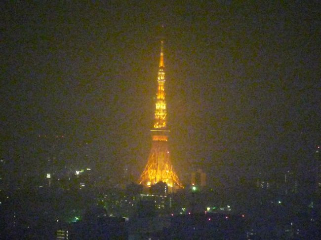 久しぶりに買い物目的で東京に。<br />どうせならとちょっとだけ奮発して1泊してきました♪