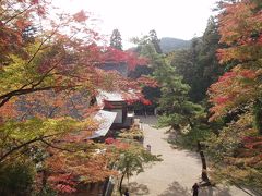 2011、秋　京都　２日目　高雄周辺　もみぢ家　ちょっぴり紅葉狩り