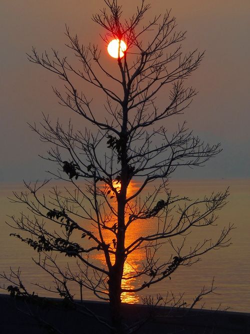 くまもと悠遊紀行1300k！⑦（八代海に沈む夕日＆日奈久温泉・金波