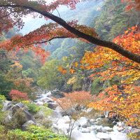 日本の四季を楽しもう！～昇仙峡へ紅葉狩り