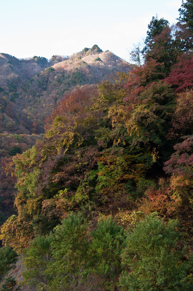 11年 奥秩父の百名山 両神山 小鹿野 皆野 埼玉県 の旅行記 ブログ By Po Ohさん フォートラベル