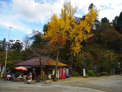 ケイマンで長瀞ドライブ