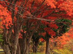 長野　紅葉めぐり～妻籠宿と寝覚の床