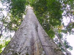 Pulau Ubin、Singapore　ウビン島、　夕暮れ時のビールを美味くする方法ｗ