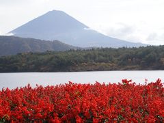 秋の富士山を見に行こう