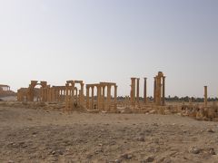 シリア　パルミラ遺跡へ