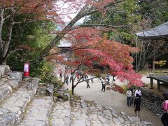 ＪＲ駅長プラン　日帰りの旅・京都散策（高雄へ）