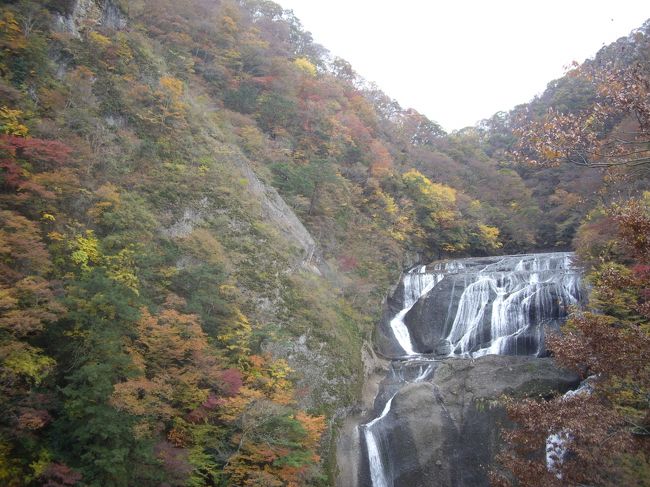 11月中旬の週末、天気も何とか持ちこたえてくれそうだったので、紅葉を探しに茨城県北部にある袋田の滝へと日帰り旅行をしてきました。子供のころに家族旅行で訪れて以来、約20年ぶりだったのですが、以前にはなかった観瀑台も新設されていて、より美しい景色を楽しめるようになっていました。