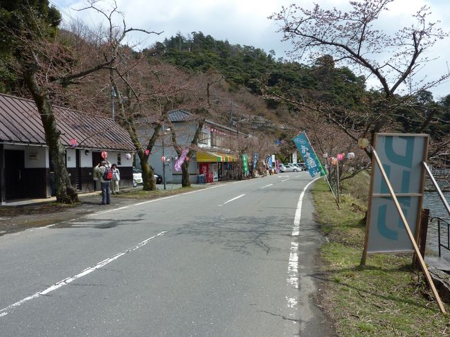 永原～マキノまで海津大崎経由で歩いた。桜を期待して行ったのだが、早かった。左が桜がまだあまり咲いてない海津大崎です。