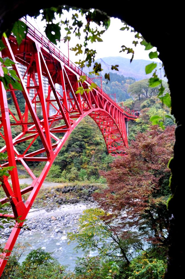 ツアー旅行で「黒部峡谷」へ行ってきました。<br /><br />＜　～紅葉列車「大糸線」から仁科三湖の紅葉絶景～<br />　紅葉の黒部峡谷トロッコ列車と宇奈月温泉<br />　ガイド同行で鐘釣も欅平も散策する２日間　　＞<br /><br />　紅葉時期を狙い、このツアーを1ケ月前に予約しました。<br />　新聞等のニュースでは10月末頃が紅葉のピークだったようで、<br />　落葉も始まっていましたが、まだまだ十分楽しめました。<br /><br />【１】・11/7（月）<br />　　　　東京駅＝（あさま509号）＝長野駅ーーﾊﾞｽーー信濃木崎駅<br /><br />　　　　＝＝＜大糸線＞＝＝神城駅ーー宇奈月温泉　（泊）<br />　　　・11/8（火）<br />　　　　　宇奈月温泉　朝の紅葉ミステリーツアー<br /><br /><br />【２】・11/8（火）<br />　　　　宇奈月温泉ーー宇奈月駅<br />　　　　----＜黒部峡谷トロッコ列車＞---鐘釣駅（散策）　<br /><br />　　　　----欅平駅（散策）---宇奈月駅<br /><br />　　　　－－－上田駅＝＝（あさま546号）＝＝東京駅<br /><br /><br /><br /><br /><br />　　　　