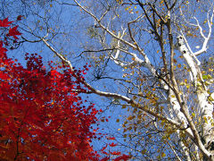 秋の軽井沢★フォトジェニック色【前編は紅葉満喫】