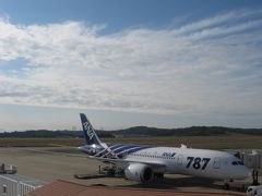 就航12日目のANA・B787に乗って来ました（神戸→岡山空港）