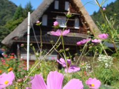 富山県（南砺市）世界遺産の合掌造り「五箇山 菅沼合掌造り集落」(1歳0ヶ月)