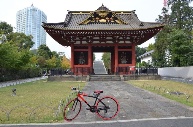 3年前に愛車のＭＴＢが庭先から盗まれて以来、自転車とは縁がありませんでしたが、毎年恒例の年末の健康診断を控え、悪あがきの始まる10月の後半、自転車を買ってしまいました。<br />ちょっとウエイトオーバー気味で、走るとすぐに膝に来てしまうため、「自転車に乗ってやせよう！」<br />ズバリそれが目的です。<br />名前はドッペルゲンガー　４０２サンクタム　　「生きている人間の霊的な生き写し」と言う意味の、ちょっと不気味な名前のついた黒のアルミボディに赤がからみついたように入った、めちゃくちゃ派手なクロスバイクを、ネットで購入しました。<br />段ボールの梱包のまま1週間ほど放置状態が続いた後、先月末にようやく組み立てが完了し、慣らし運転を兼ねてこの日の走行となりました。<br />自分で組み立てたので、走っているうちにばらばらになっては困ると思い、まずは歩いても何とか帰れるところからということで、芝の増上寺、三田の慶応義塾のキャンパス、そして最後は泉岳寺の約10キロのコースを走りました。<br />ジムでバイクをこいでいるのと違ってやっぱり自然の坂道は違うもので、わずかこれだけの距離でも家に帰る頃には、両方の腿がパンパンに張ってました。<br />12月上旬には片道45キロある鎌倉の紅葉を見にサイクリングに出かけようと思っています。<br />でも帰りを考えると90キロ、走破するためにしばらくは、週末に練習ですね。